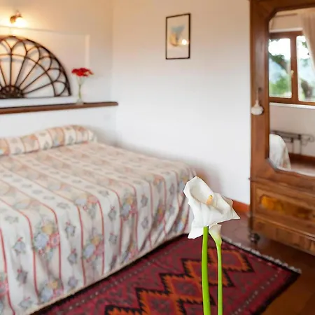 Rizzo Resort&spa
