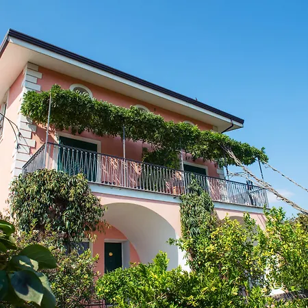 Hotel Rizzo Resort&spa